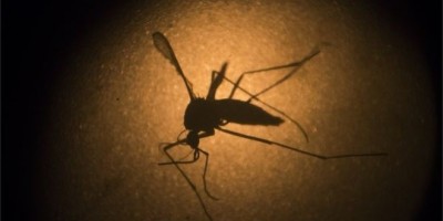 Hàn Quốc xác nhận ca bệnh nhiễm virus Zika đầu tiên