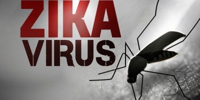 Truyền hình trực tuyến: Cảnh giác cao độ với virut Zika  sốt xuất huyết