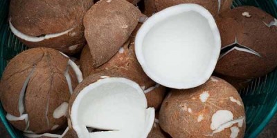 8 lợi ích sức khỏe không ngờ của dừa khô